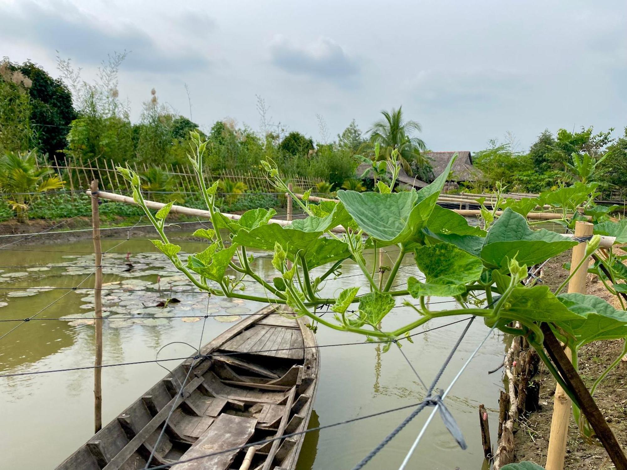 Mekong Silt Ecolodge 芹苴 外观 照片